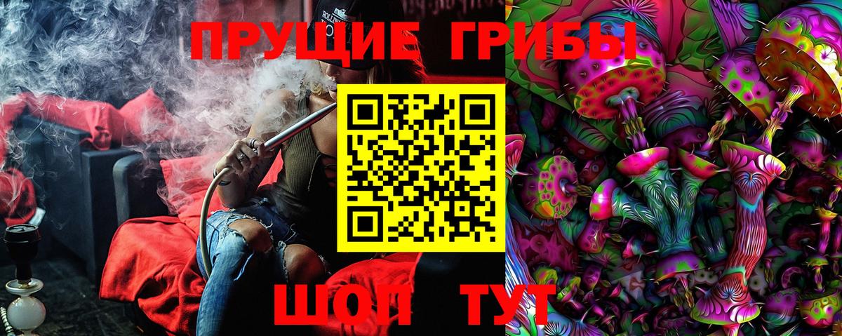 Псилоцибиновые грибы ЛСД  Псилоцибиновые грибы Magic Shrooms  Вход с VPN  Светлоград 
