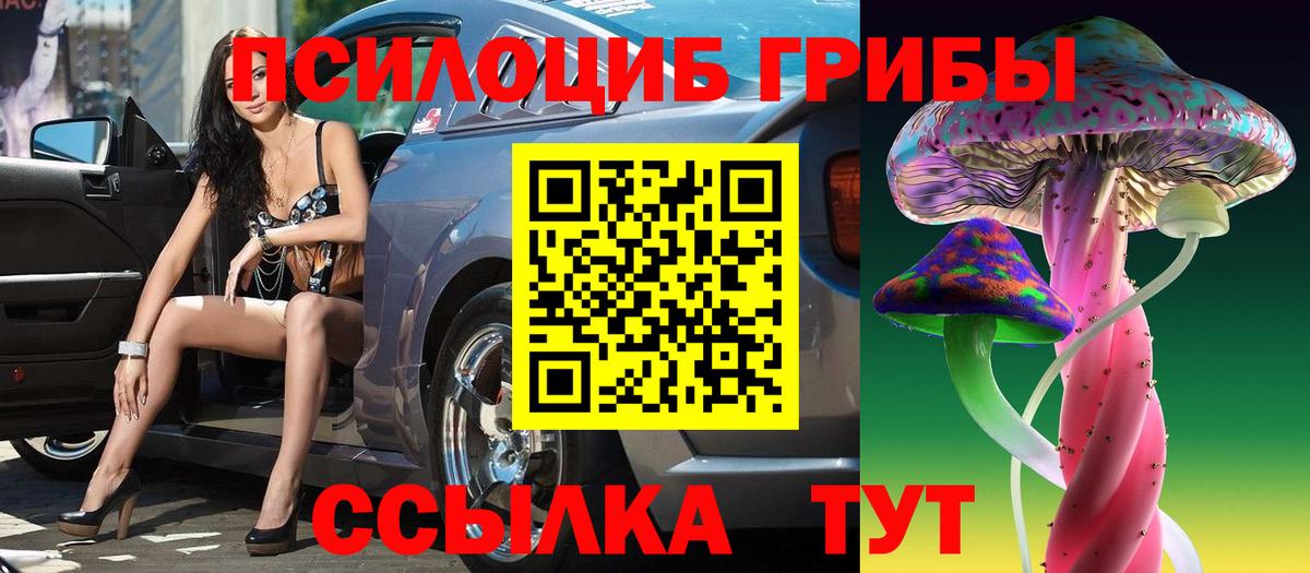 Галлюциногенные грибы прущие грибы Светлоград